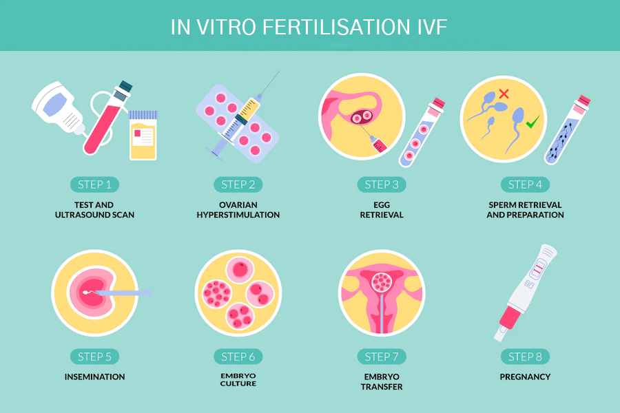 best ivf center in bangalore